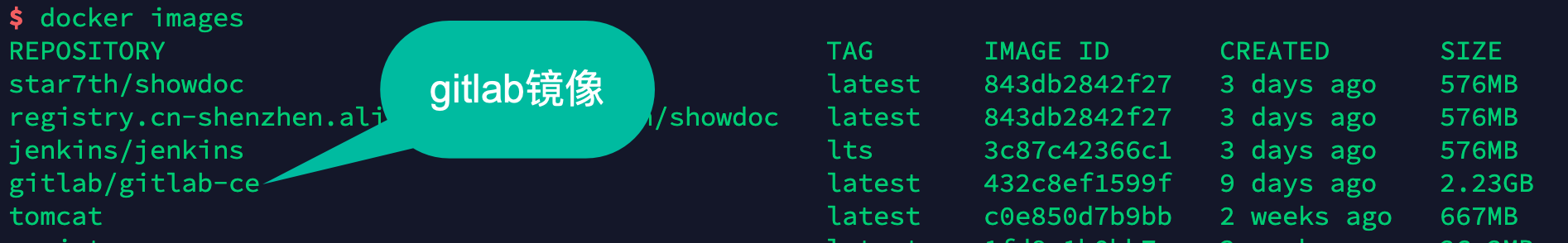 拉取的GitLab镜像